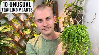 10 Unusual Trailing Houseplants [upl. by Burwell]