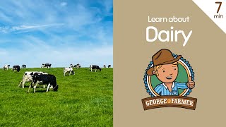 Dairy from Cows with George the Farmer [upl. by Hennebery]