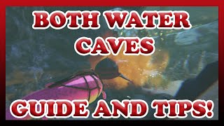 ARK  Both Water Caves  The Island  Guide and Tips  Official  Solo [upl. by Ecirtahs]