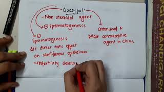 gossypol mp4  Pharmacology [upl. by Peednam]