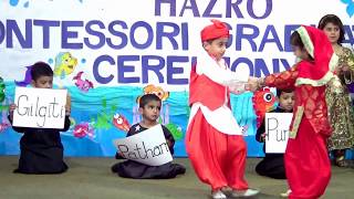 Pakistans Culture and Folk Songs by Bahria Foundation School amp College HAZRO Campus  PAKISTAN [upl. by Lorrimor70]