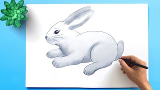 How to draw a Rabbit Easy Step by Step 🐇 Easy Bunny Rabbit Drawing Tutorial [upl. by Eibba]