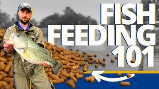 Everything To Know About Feeding Fish In Your Pond  Pond amp Lake Management Tutorial [upl. by Domph]