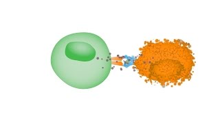 Oncolytic Virus Therapy Dynamite for Cancer Cells [upl. by Chasse]